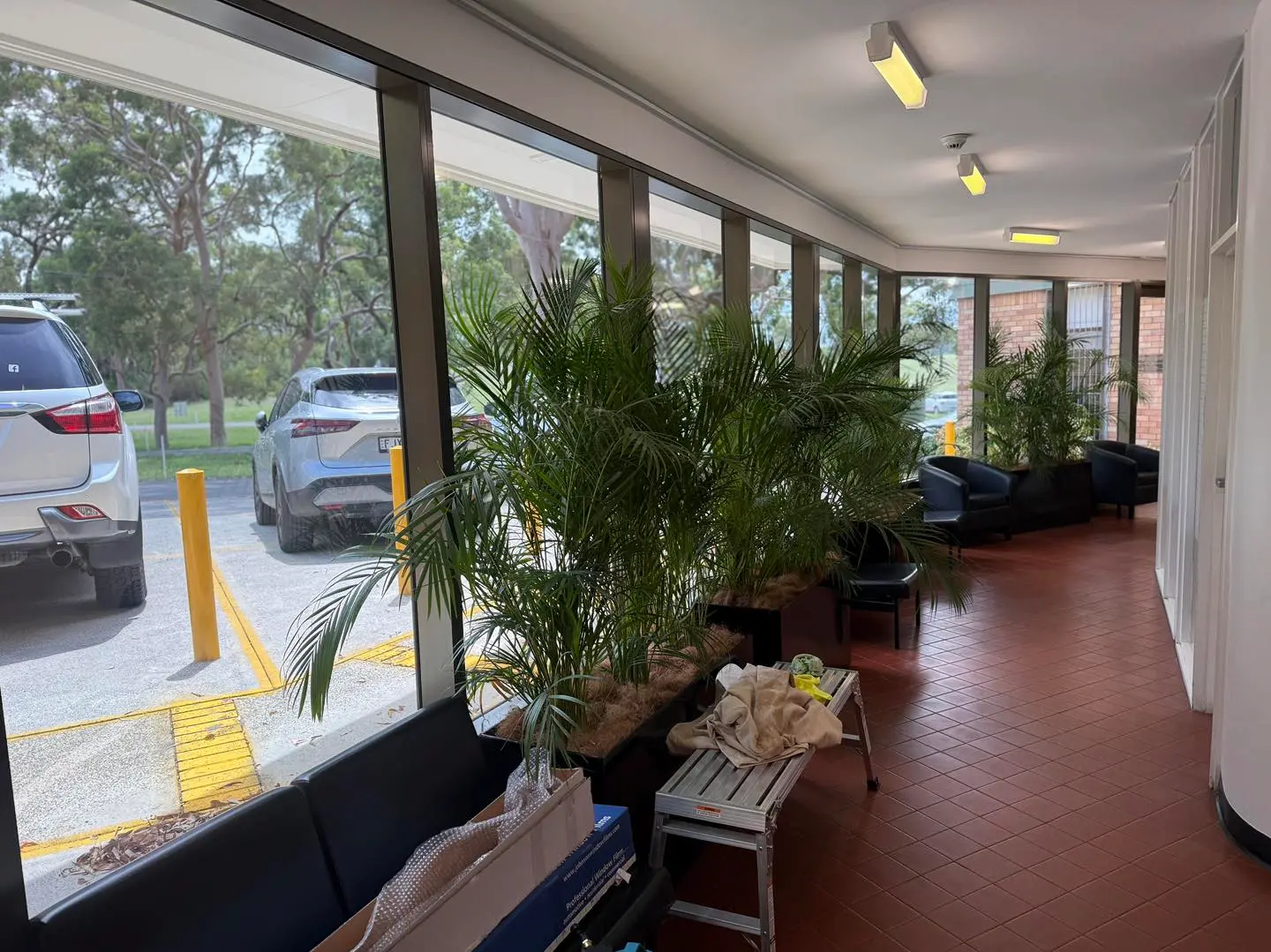 Commercial window tinting completed in Nelson Bay NSW